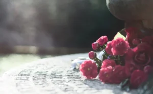 quelles plantes mettre au cimetiere en ete