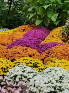 tombe-paysagere-amenagement-naturel-cimetiere